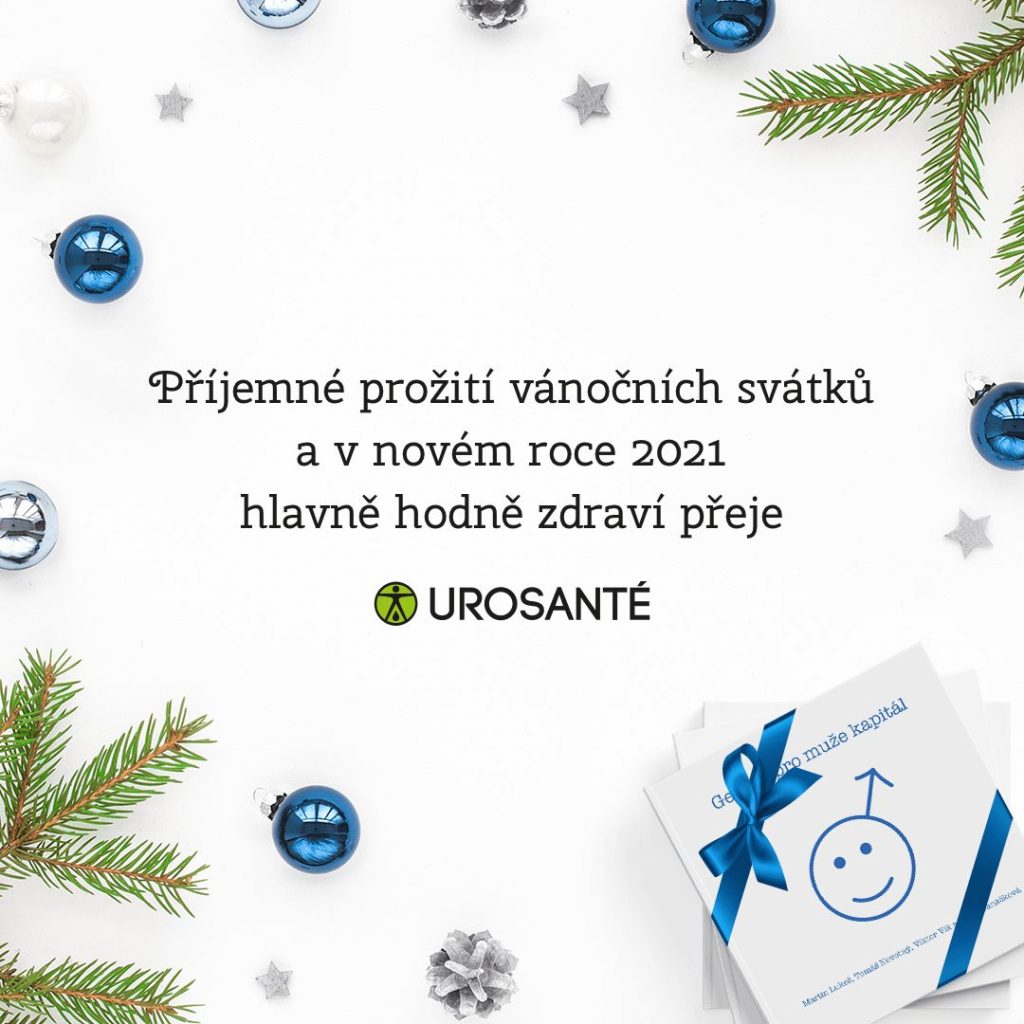Veselé Vánoce 1 pf2021